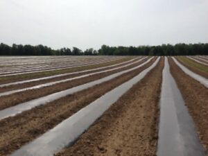 Super Strength Embossed Plastic Mulch